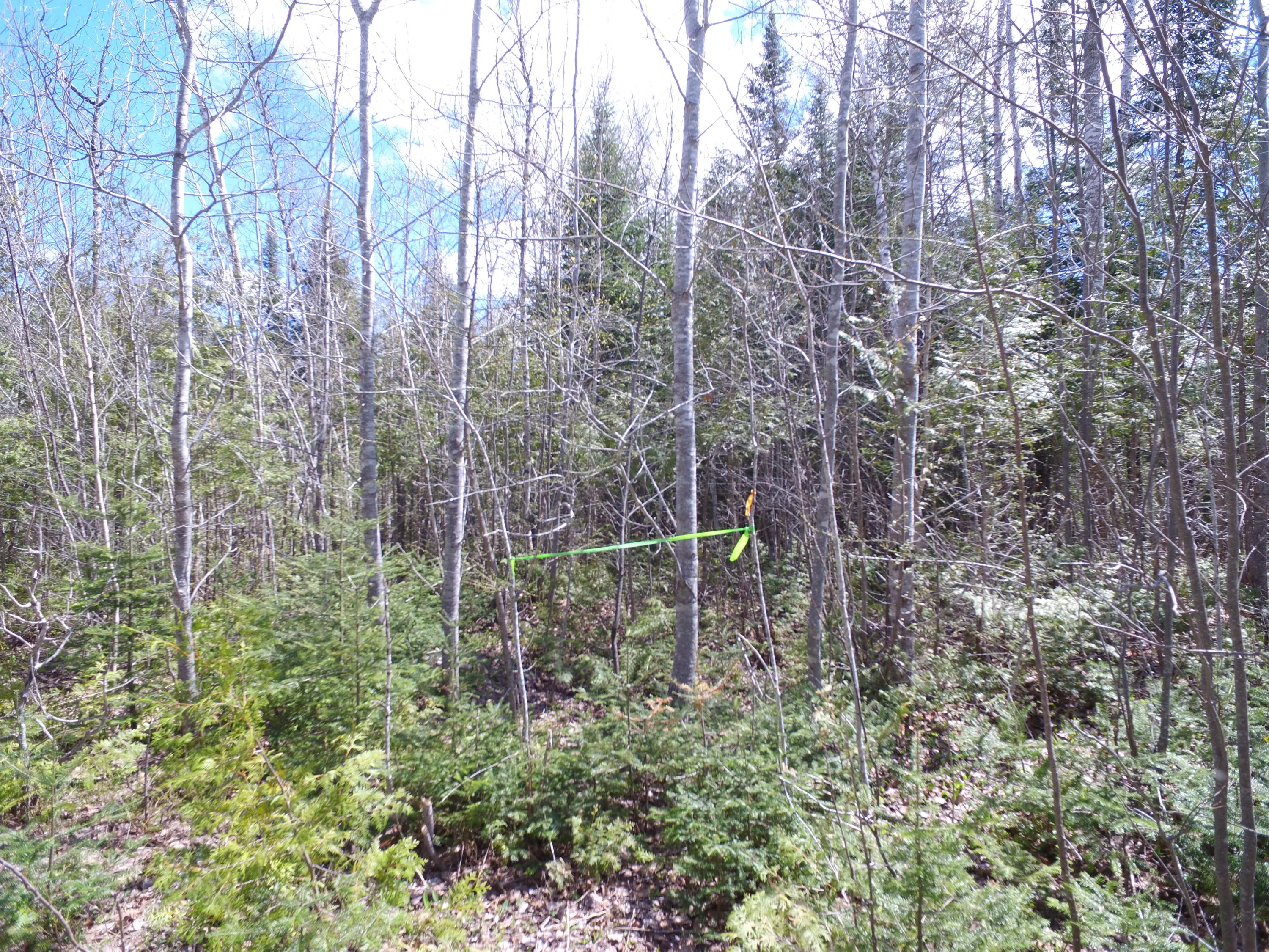 Lot 12 Off Lee Road Springfield, ME 04487 - Photo 20 of 23 DJI_0253