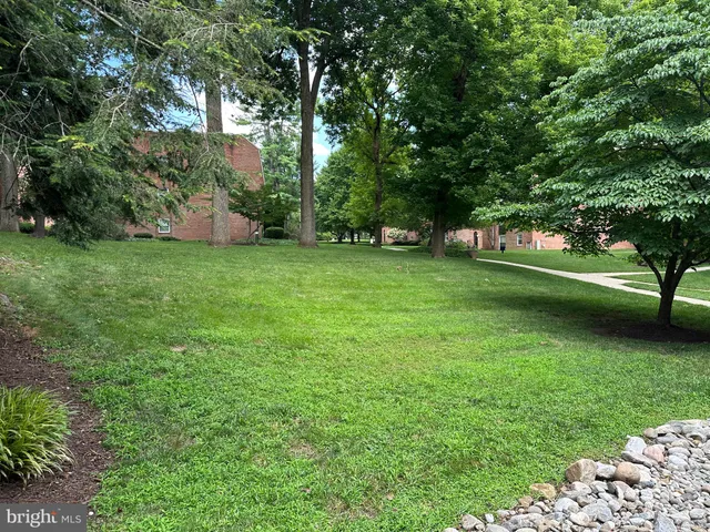 a view of a garden with plants