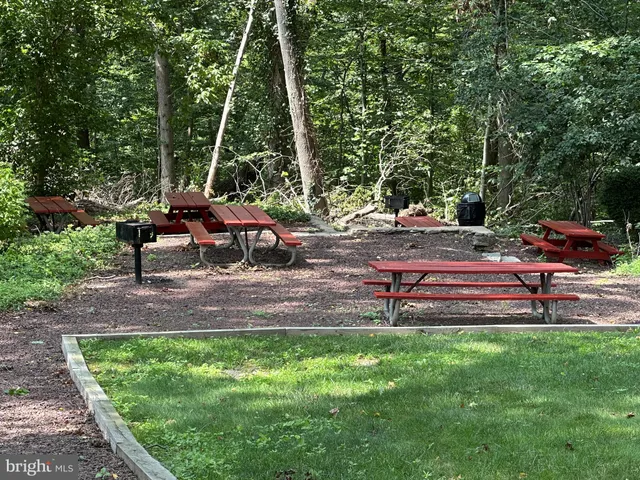 a view of a swimming pool with a yard and a large tree