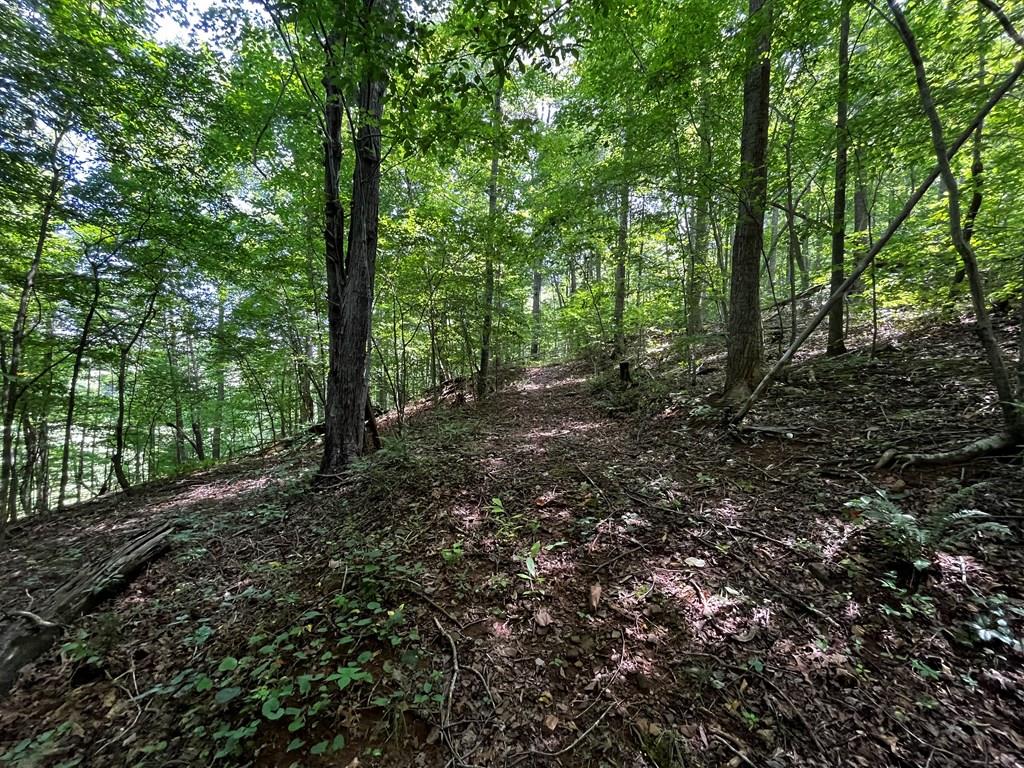 0 Puppy Creek Farm Road, Unit 22 Stuart, VA 24171 - Photo 21 of 28 Gallery Image 21