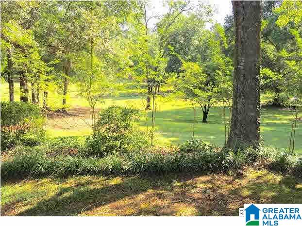 314 Pine Harbor Road Pell City, AL 35128 - Photo 4 of 15