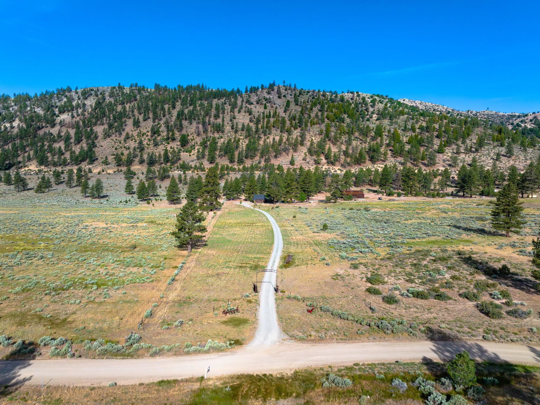 413-915 Scott Road Doyle, CA 96109 - Photo 26 of 28 a view of a yard with an ocean view