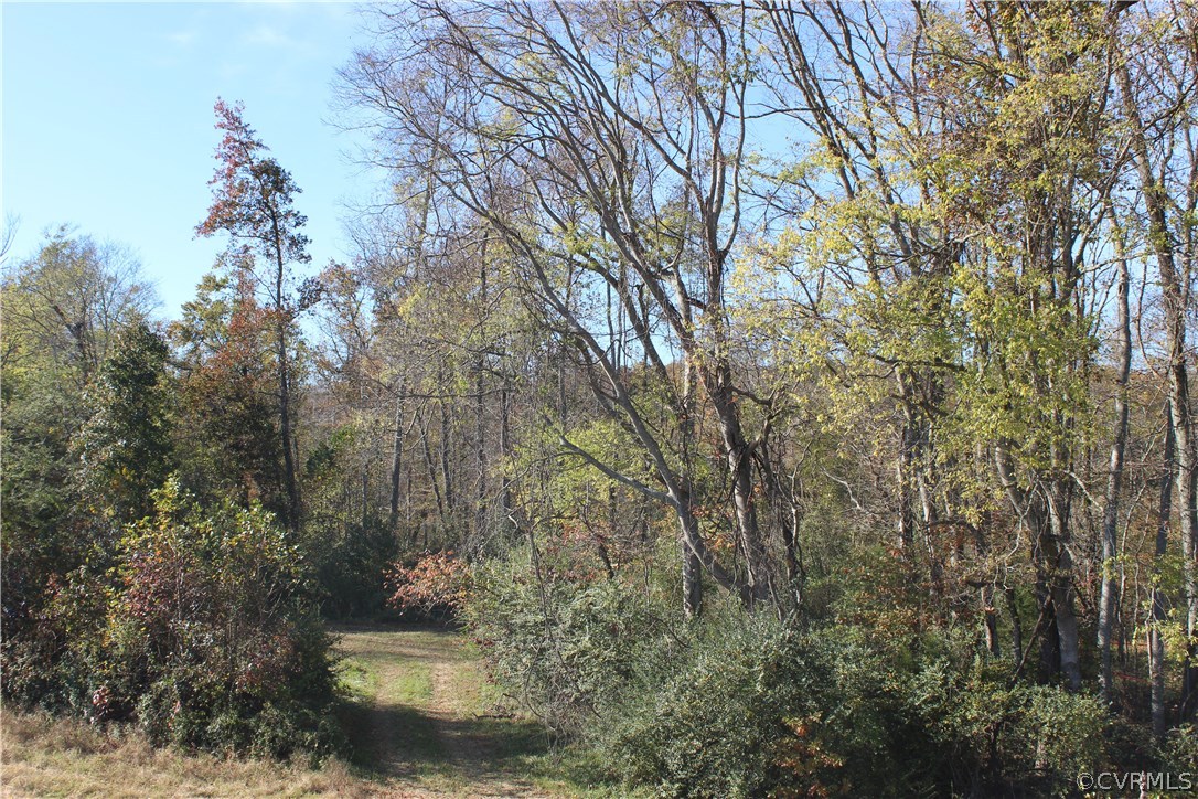 0 Dundee Estates Road Hanover, VA 23069 - Photo 14 of 19 Gallery Image 14