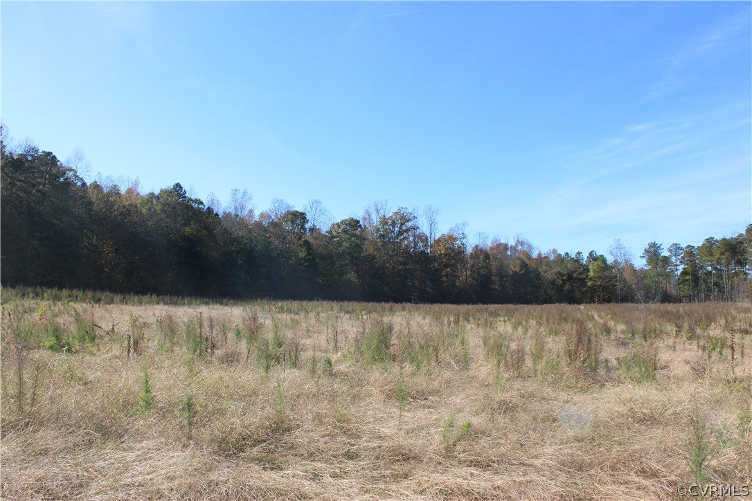 0 Dundee Estates Road Hanover, VA 23069 - Photo 8 of 19 Gallery Image 8