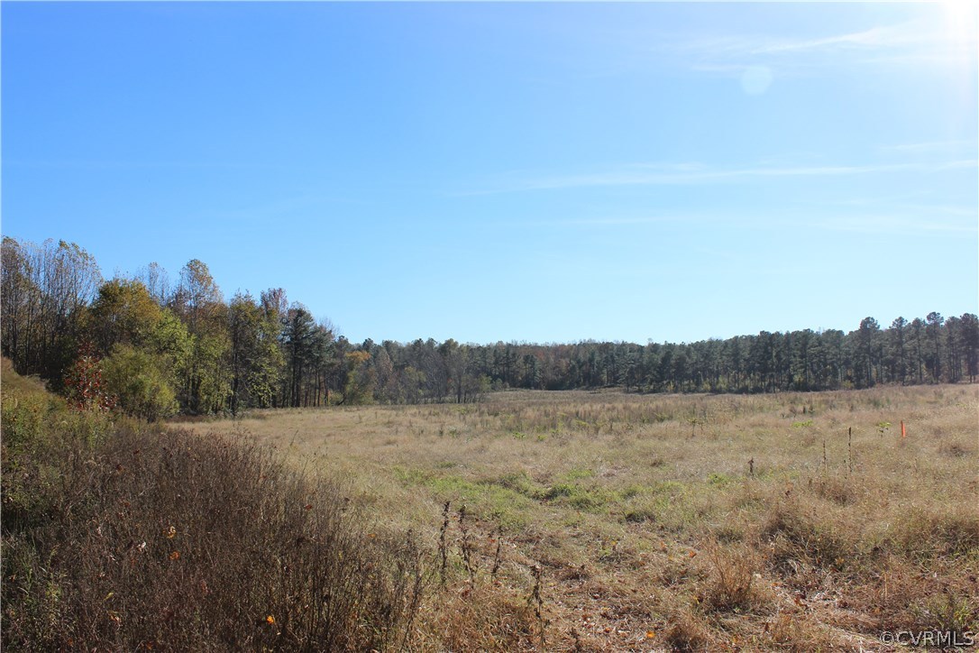 0 Dundee Estates Road Hanover, VA 23069 - Photo 10 of 19 Gallery Image 10