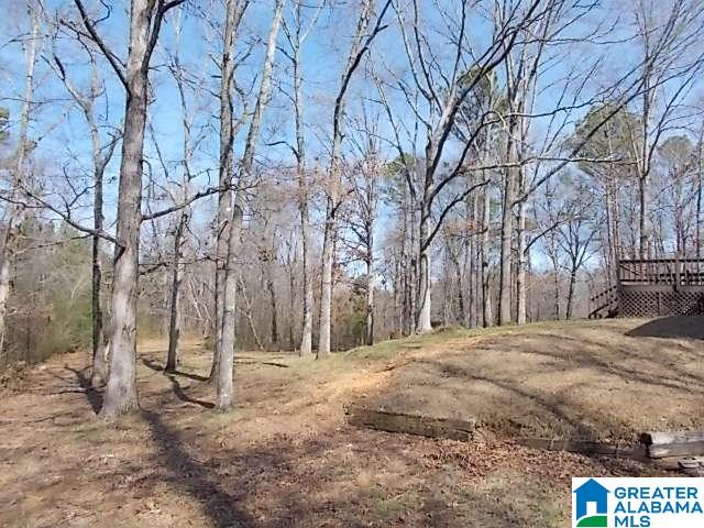 875 Robinson Street Springville, AL 35146 - Photo 4 of 21