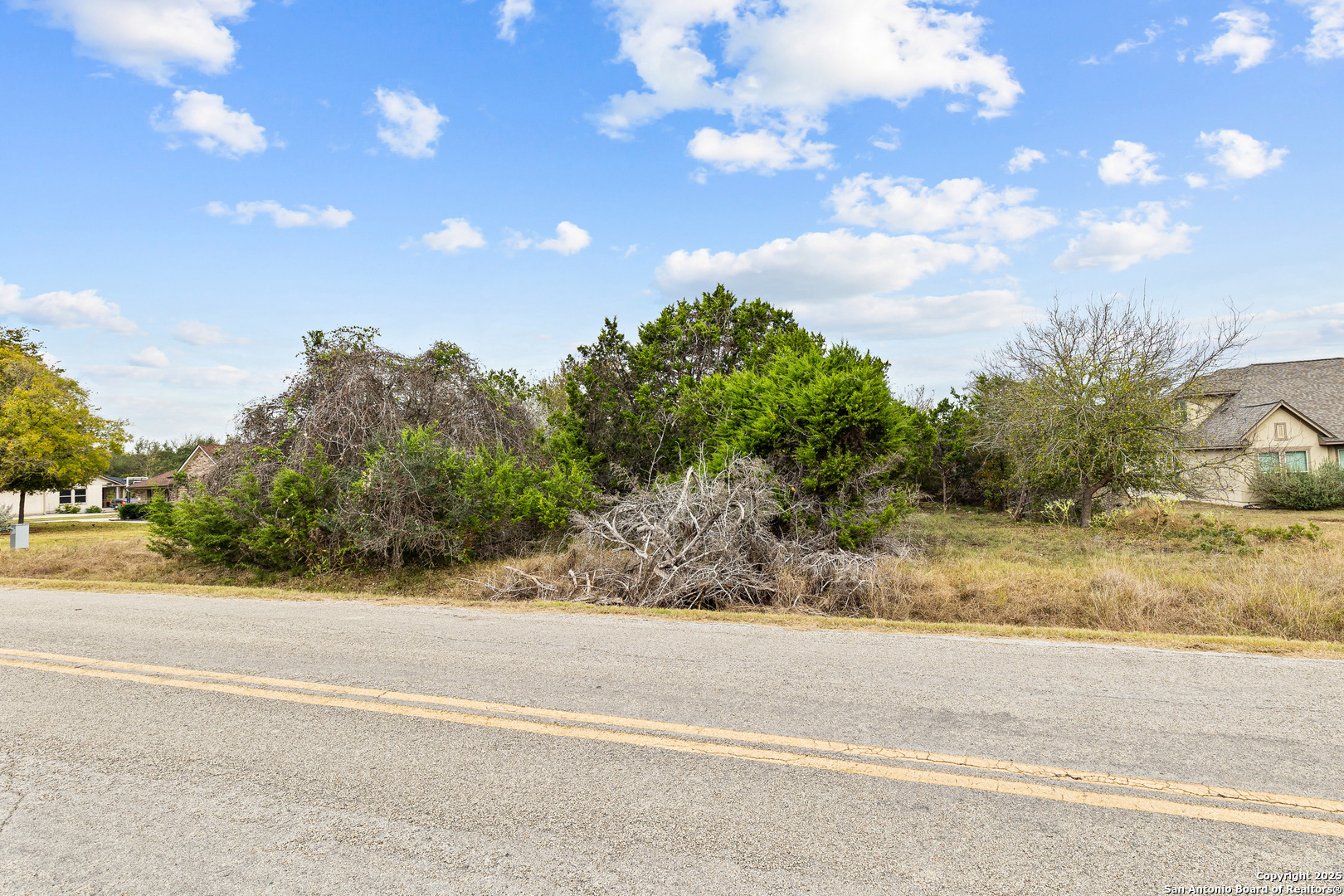737 Long Meadow Spring Branch, TX 78070 - Photo 18 of 20 a view of a yard and street view