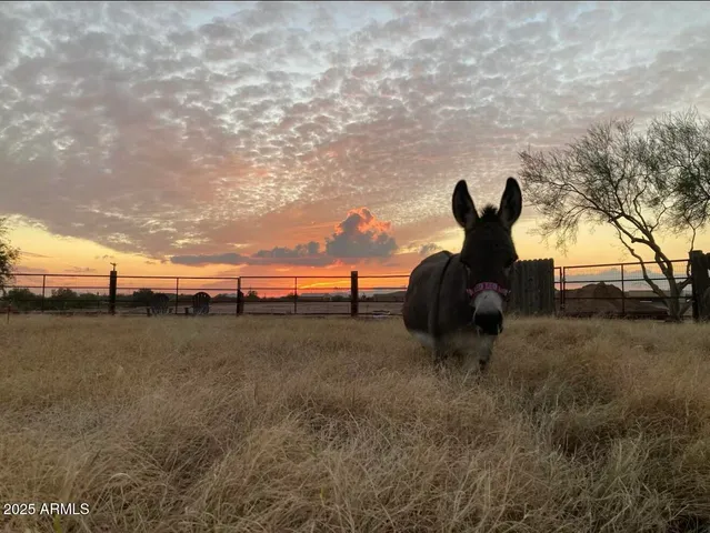 $4,900 | 5824 East Montgomery Road, Cave Creek, AZ 85331