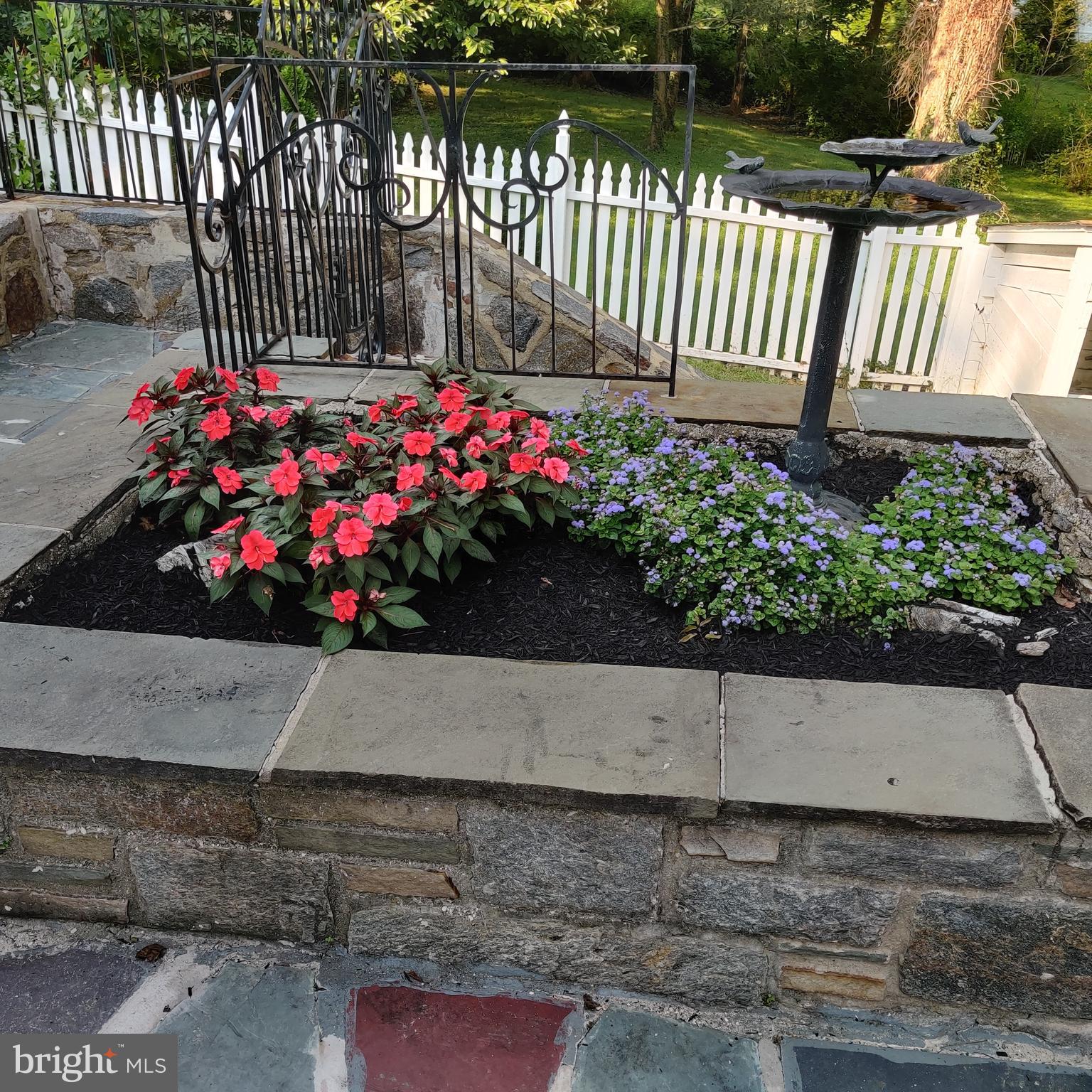 50 Wyncroft Drive Media, PA 19063 - Photo 14 of 52 Summer flowers