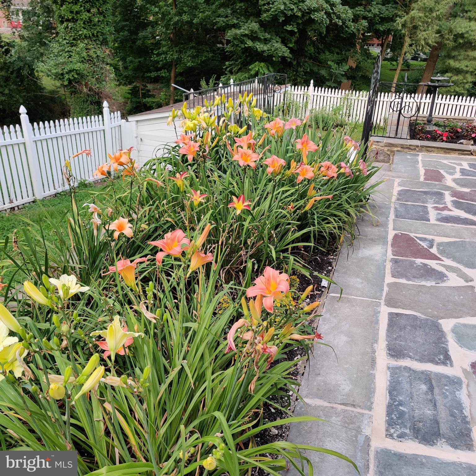 50 Wyncroft Drive Media, PA 19063 - Photo 50 of 52 Perennial garden