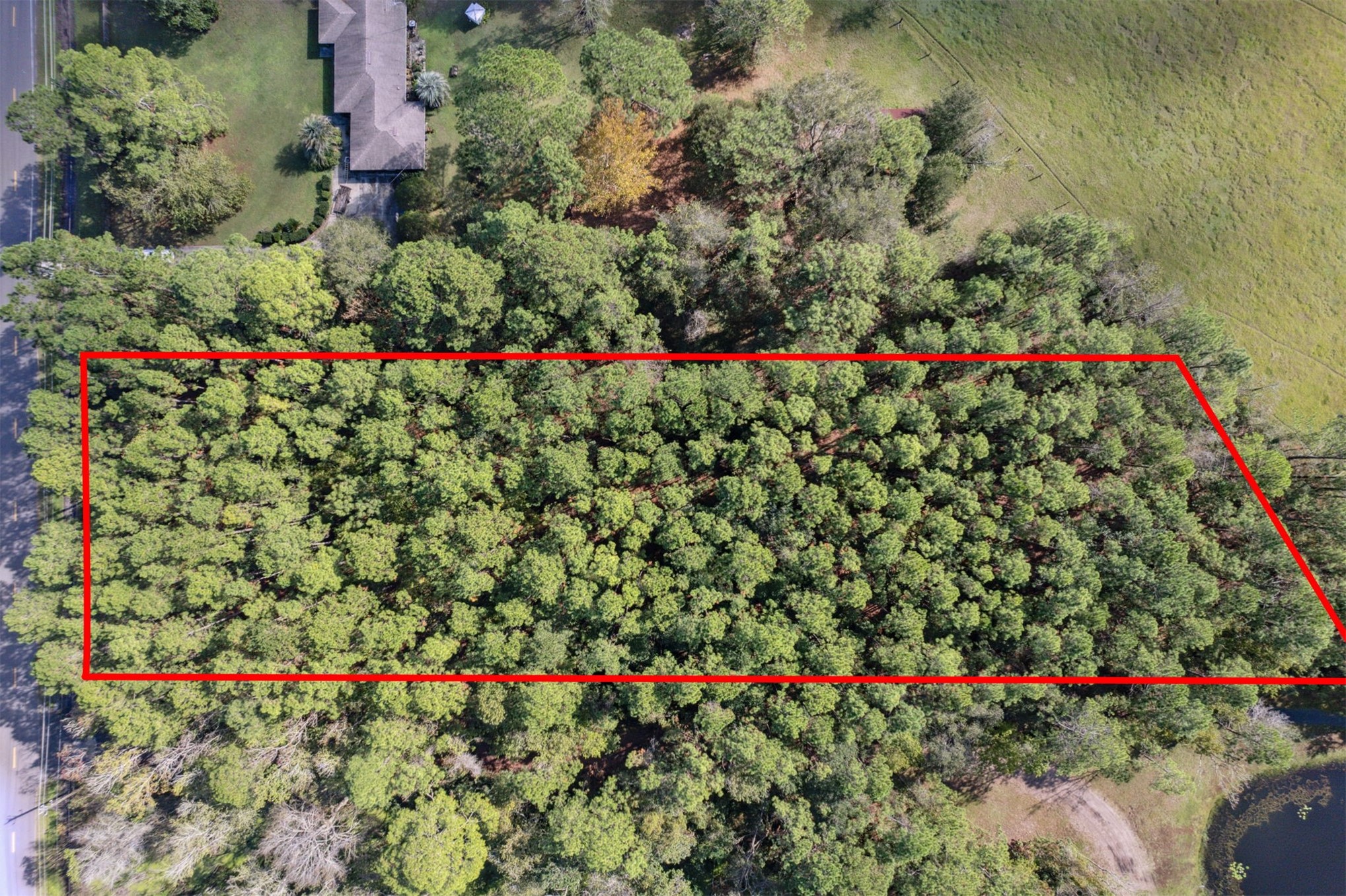 25-30 Radio Avenue Yulee, FL 32097 - Photo 2 of 21 a view of a flower garden in a yard