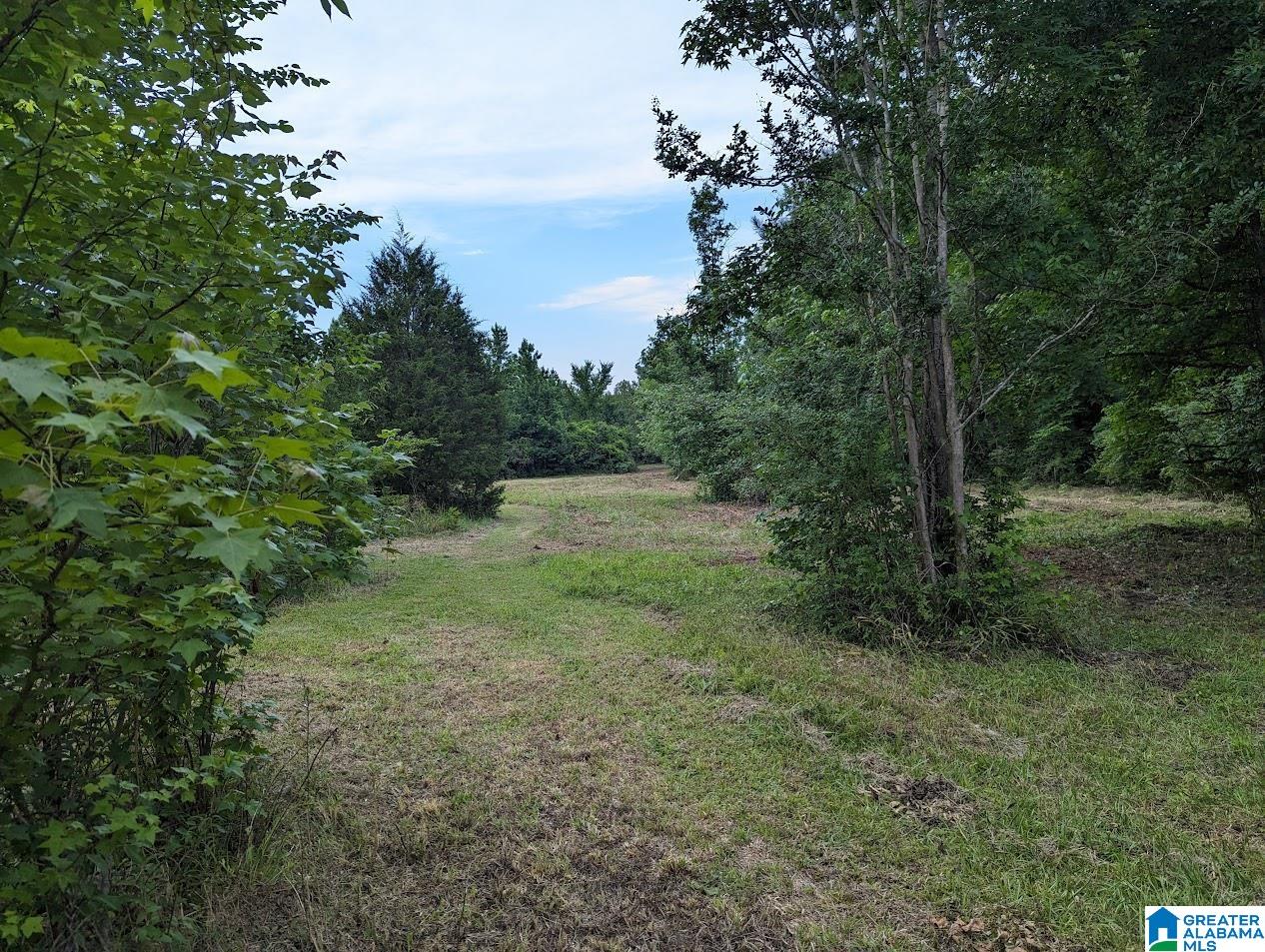 310 County Road 249 Clanton, AL 35046 - Photo 72 of 85
