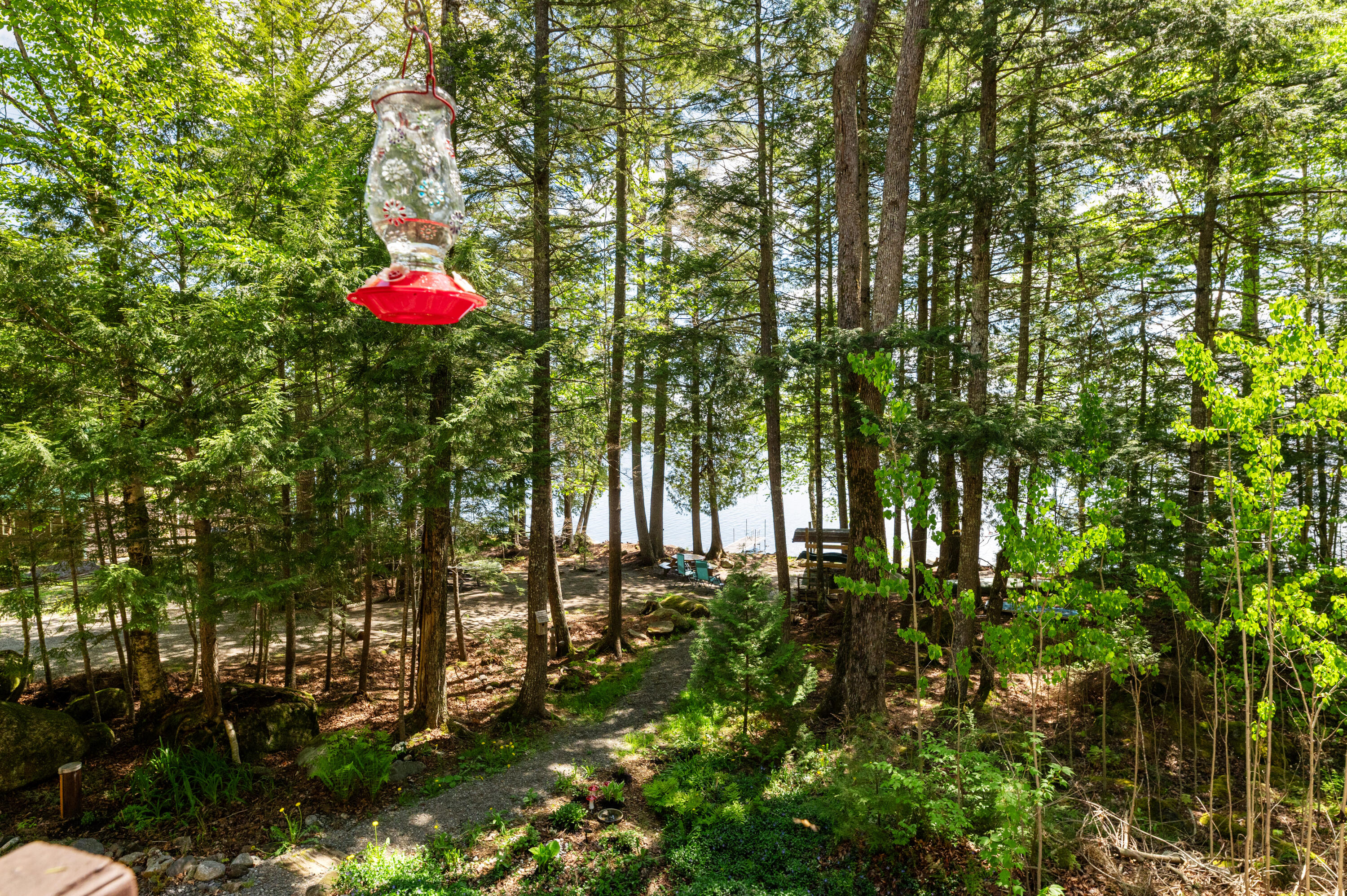 5 Canoe Court Millinocket, ME 04462 - Photo 55 of 55 DSC_2890