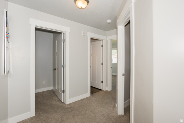 2452 West 500 South, Unit 2 Springville, UT 84663 - Photo 11 of 23 Neutral-toned hallway featuring plush carpeting and white trim