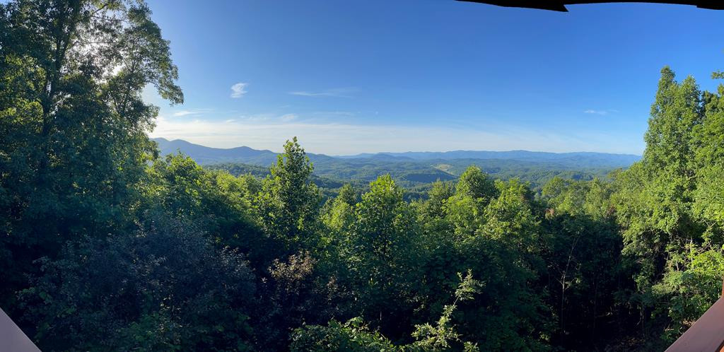 1013 Buck Ridge Drive Murphy, NC 28906 - Photo 7 of 42