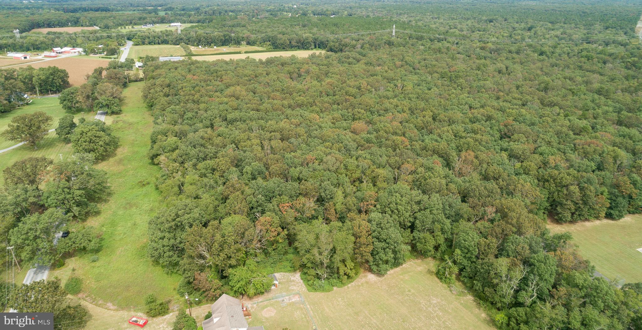 Lot 60 Fork Bridge Road Pittsgrove, NJ 08318 - Photo 1 of 16 Gallery Image 1