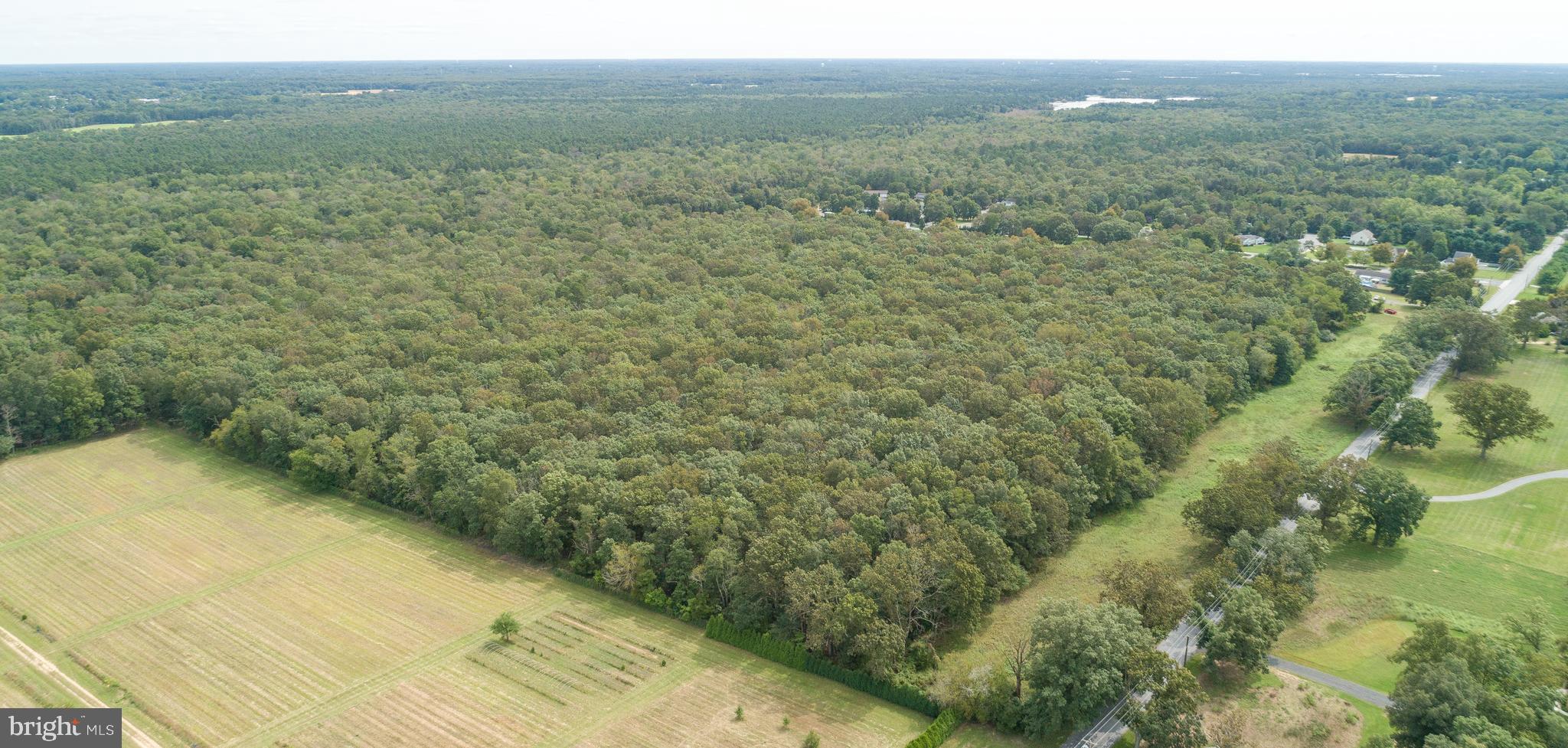 Lot 60 Fork Bridge Road Pittsgrove, NJ 08318 - Photo 14 of 16 Gallery Image 14