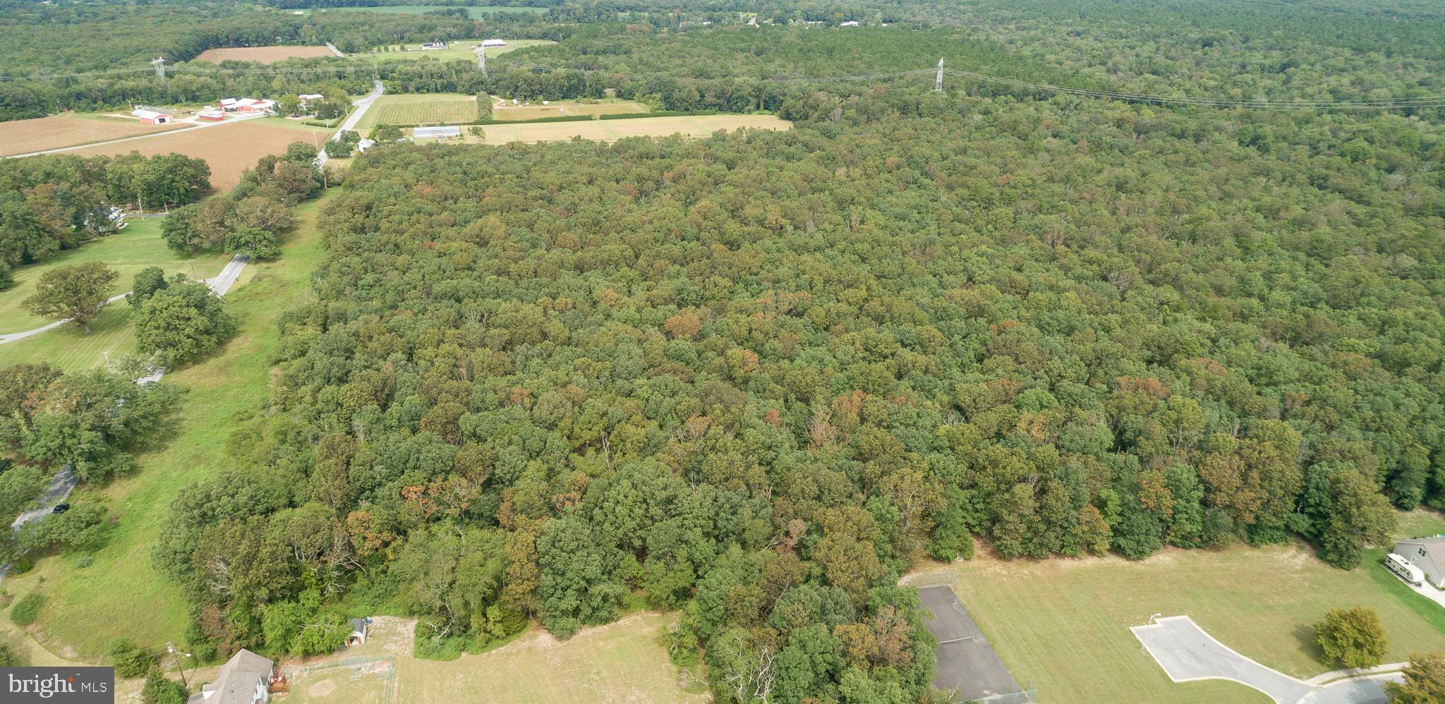 Lot 60 Fork Bridge Road Pittsgrove, NJ 08318 - Photo 3 of 16 Gallery Image 3