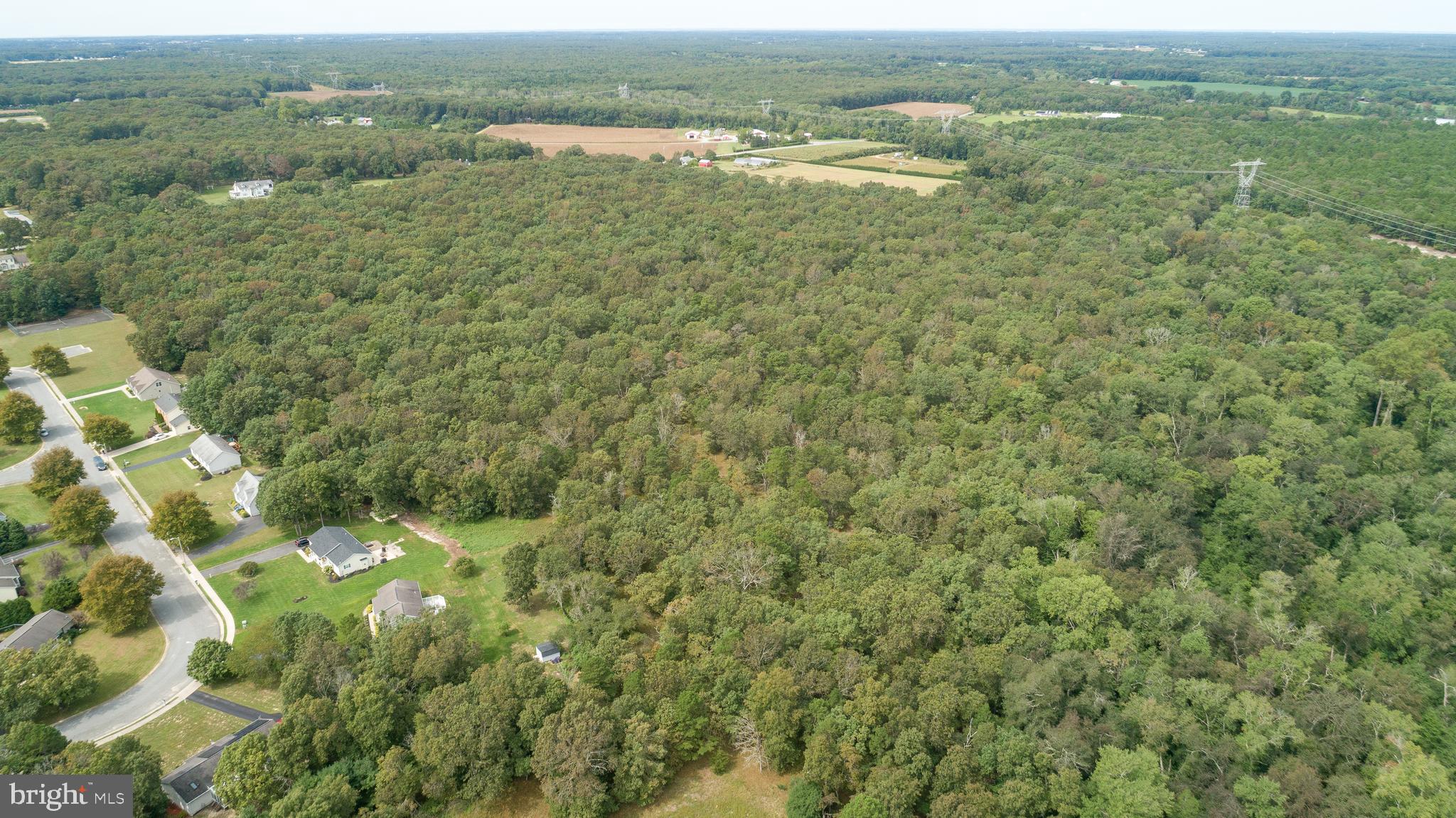 Lot 60 Fork Bridge Road Pittsgrove, NJ 08318 - Photo 4 of 16 Gallery Image 4