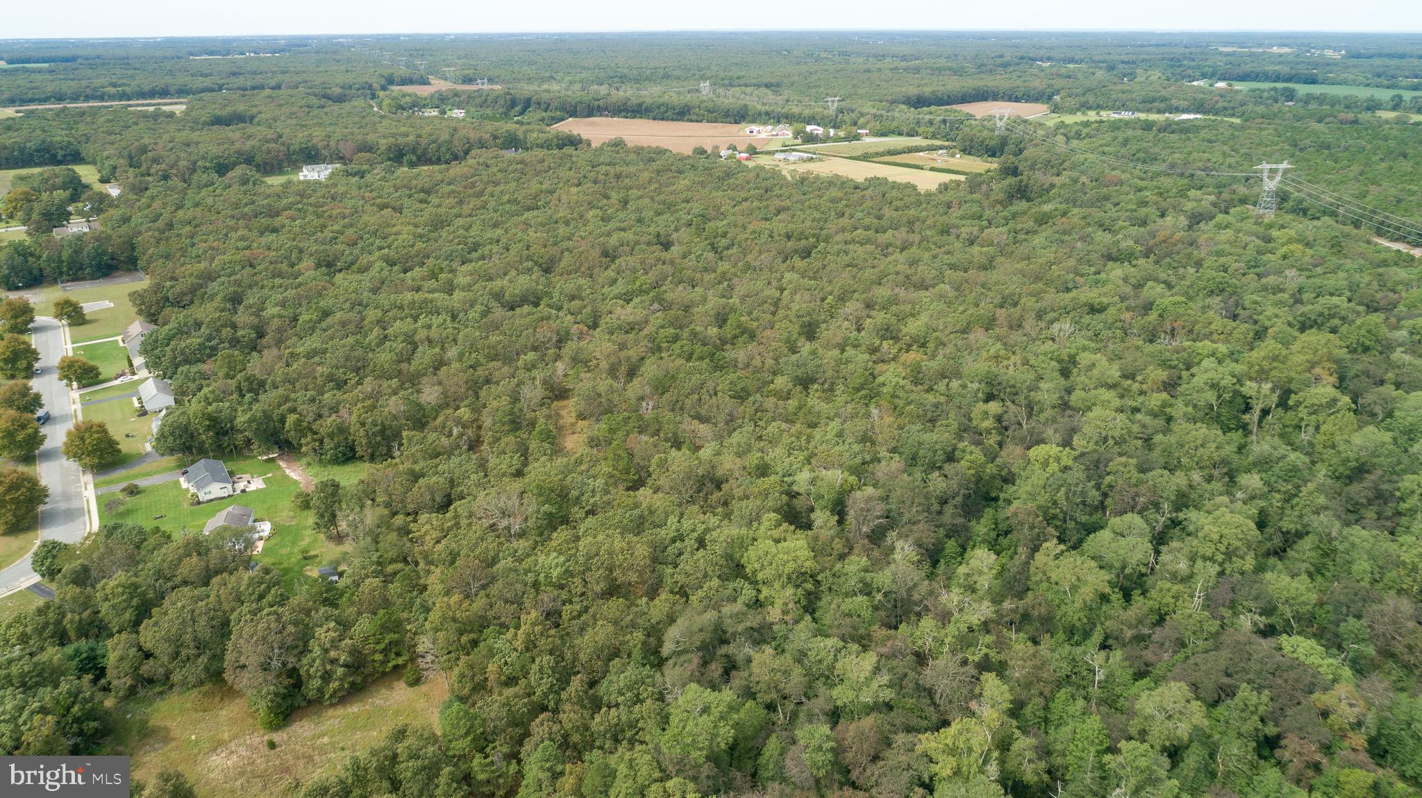 Lot 60 Fork Bridge Road Pittsgrove, NJ 08318 - Photo 5 of 16 Gallery Image 5