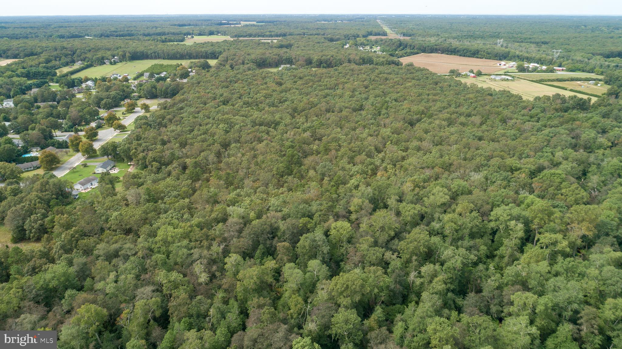Lot 60 Fork Bridge Road Pittsgrove, NJ 08318 - Photo 6 of 16 Gallery Image 6