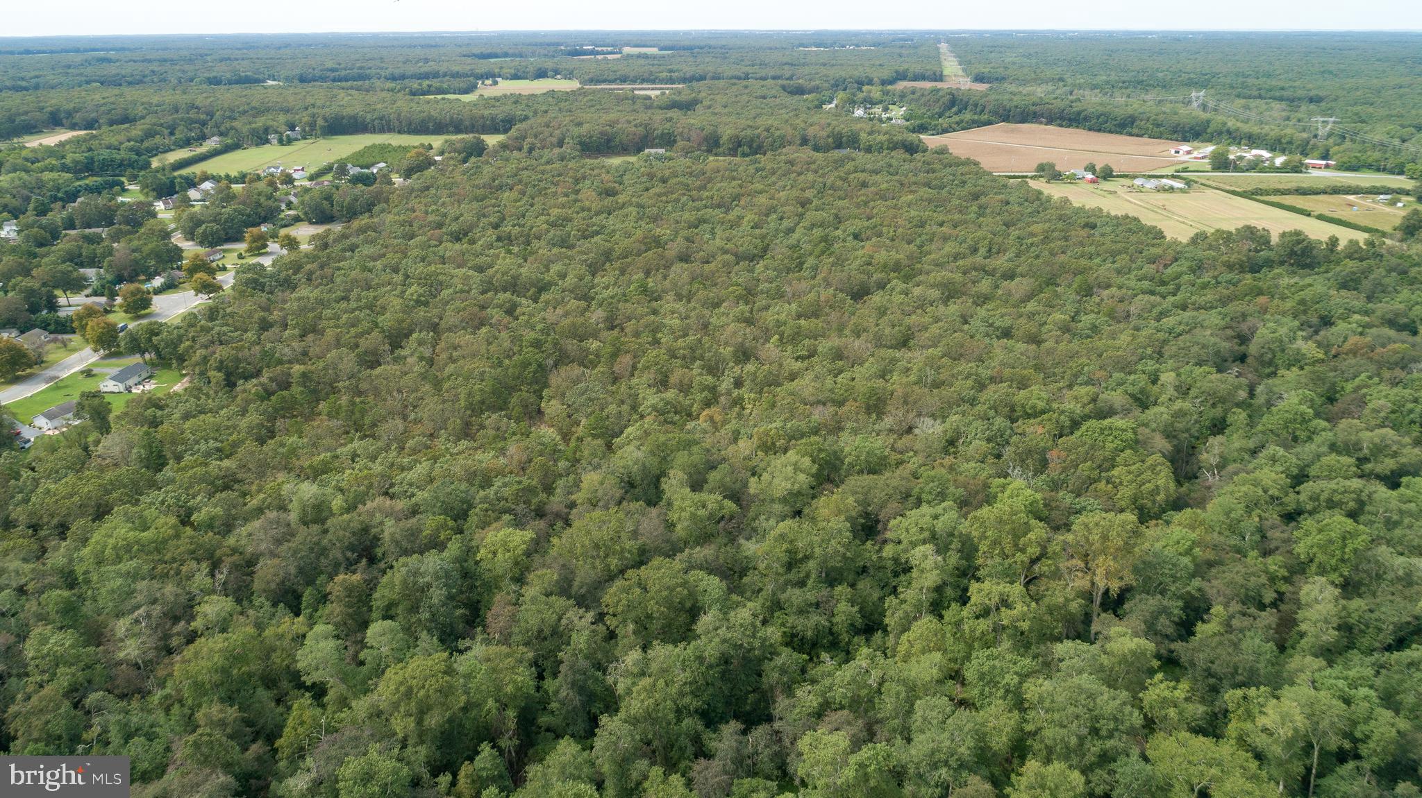 Lot 60 Fork Bridge Road Pittsgrove, NJ 08318 - Photo 7 of 16 Gallery Image 7