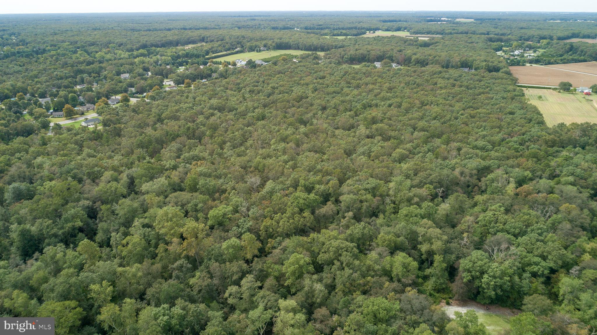 Lot 60 Fork Bridge Road Pittsgrove, NJ 08318 - Photo 8 of 16 Gallery Image 8