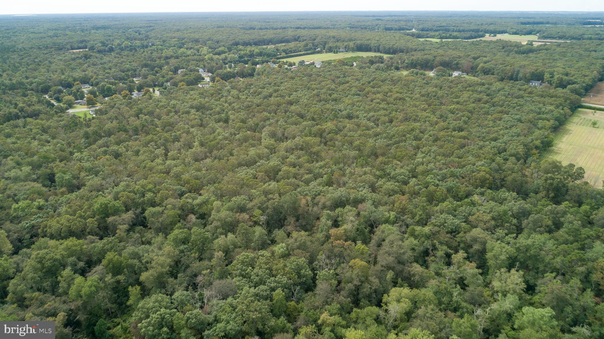 Lot 60 Fork Bridge Road Pittsgrove, NJ 08318 - Photo 9 of 16 Gallery Image 9