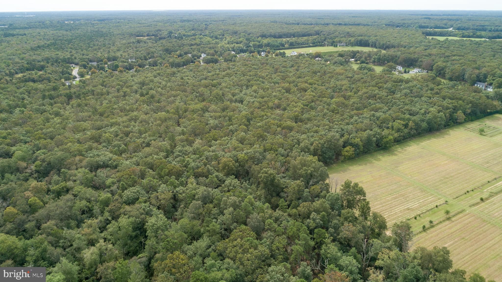 Lot 60 Fork Bridge Road Pittsgrove, NJ 08318 - Photo 10 of 16 Gallery Image 10