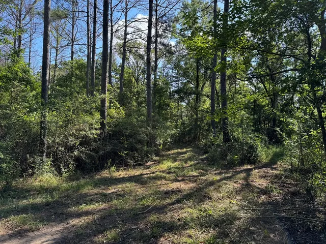 $361,955 | 920 B Auburn Drive, Bogue Chitto, MS 39629