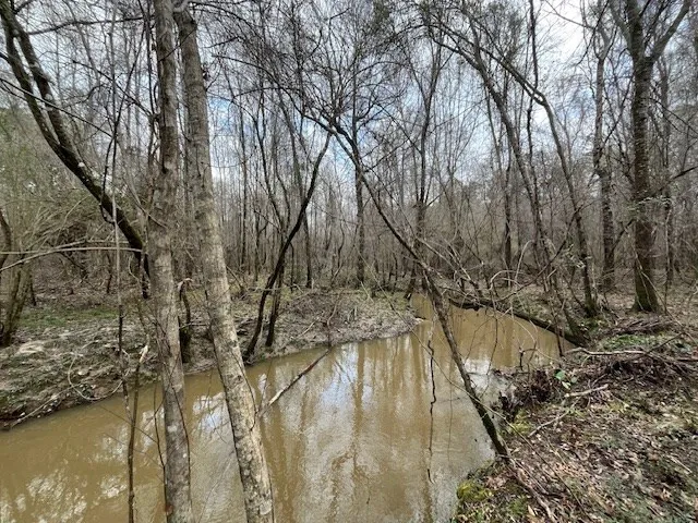 $361,955 | 920 B Auburn Drive, Bogue Chitto, MS 39629