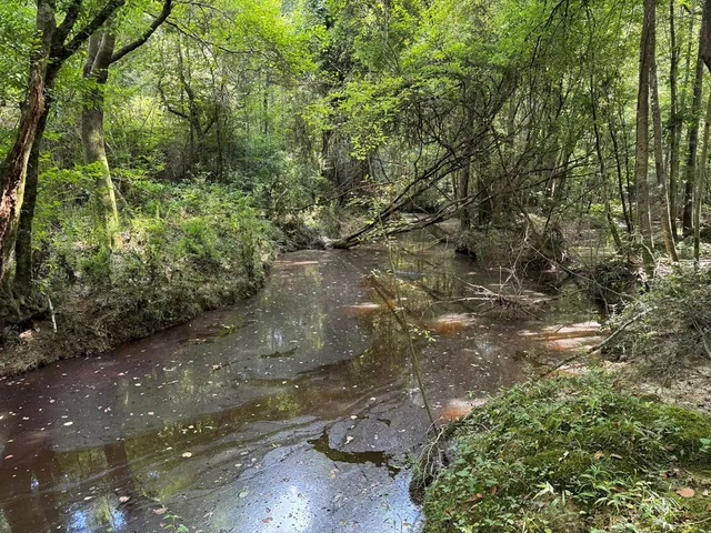 $361,955 | 920 B Auburn Drive, Bogue Chitto, MS 39629