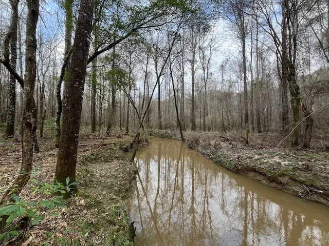 $361,955 | 920 B Auburn Drive, Bogue Chitto, MS 39629