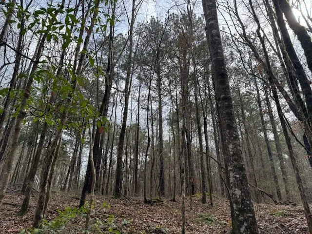 $361,955 | 920 B Auburn Drive, Bogue Chitto, MS 39629