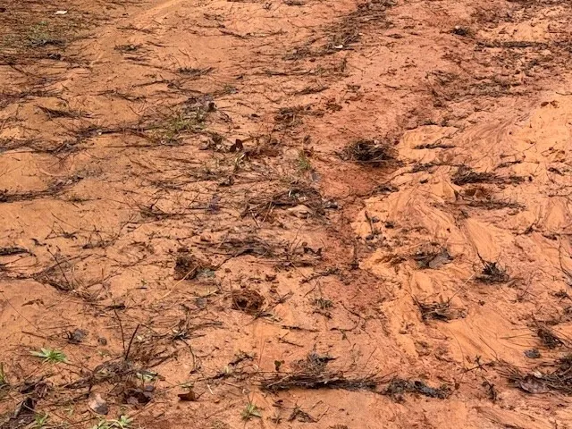 $361,955 | 920 B Auburn Drive, Bogue Chitto, MS 39629