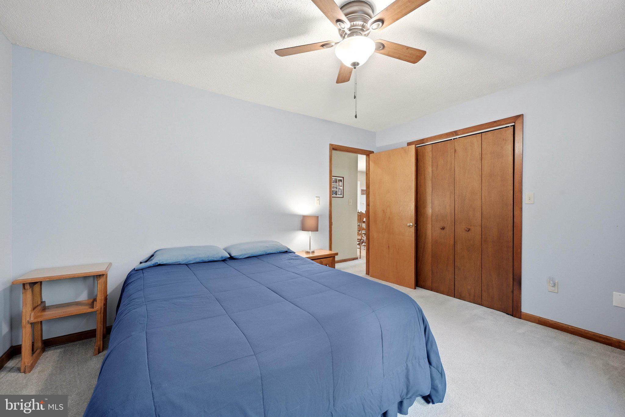 311 Moose Road Berryville, VA 22611 - Photo 24 of 48 Primary Bedroom
