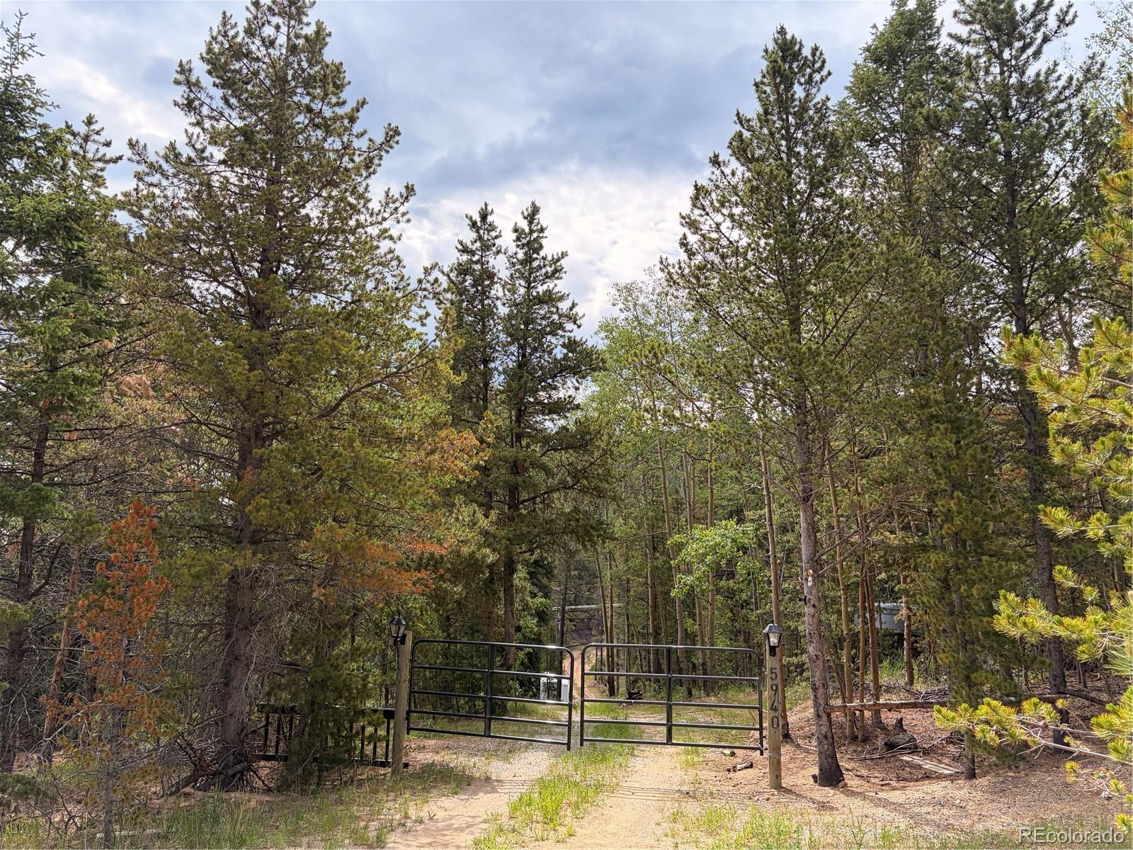 5940 Virginia Canyon Road Central City, CO 80427 - Photo 6 of 28