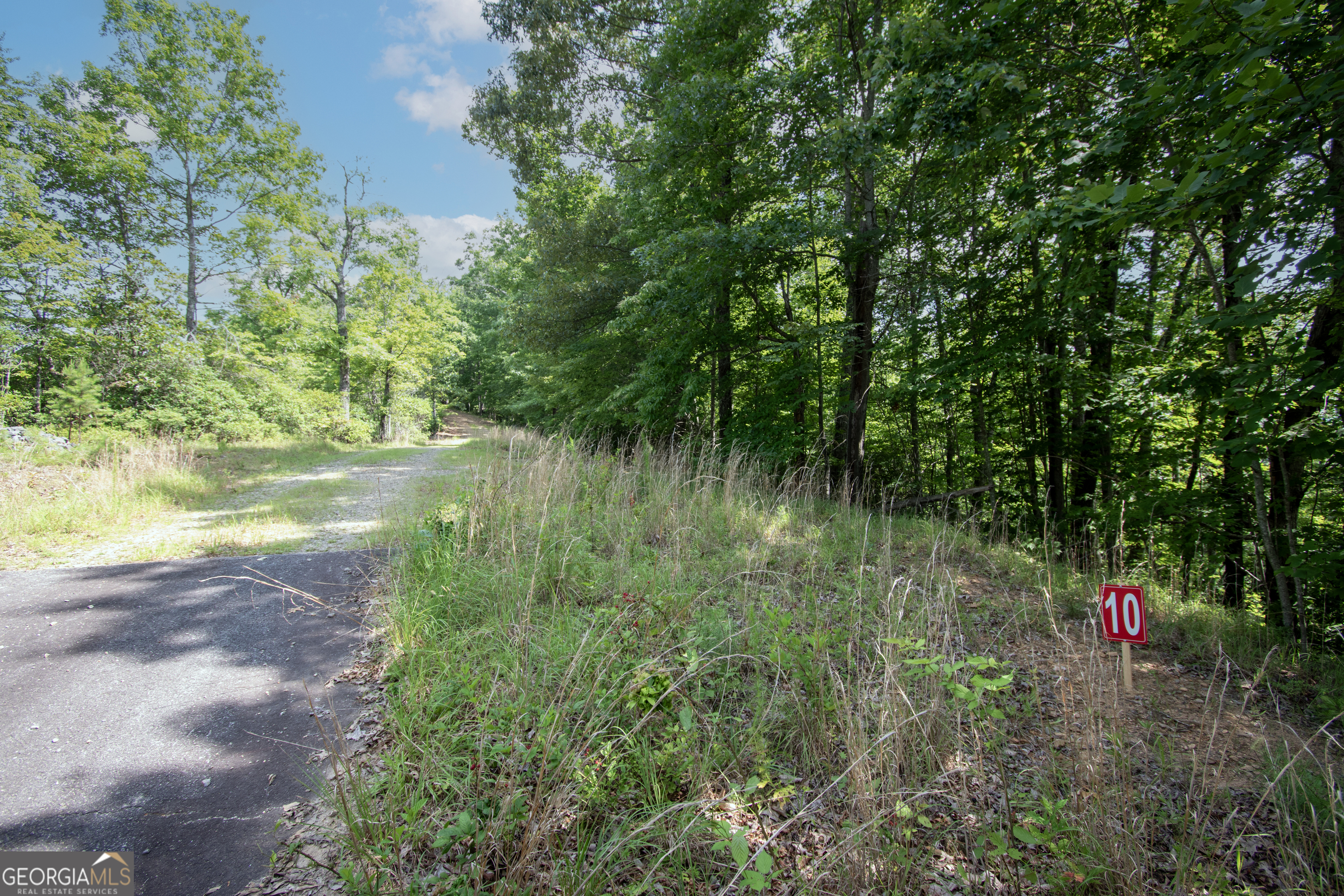 850 Bluff Road Marble, NC 28905 - Photo 16 of 31 Gallery Image 16