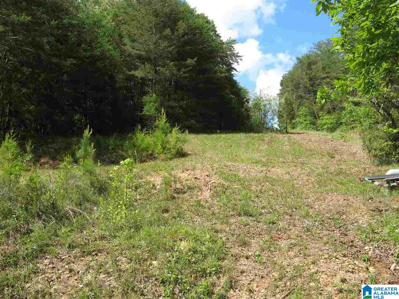 126 Jane Drive Sylacauga, AL 35151 - Photo 36 of 39