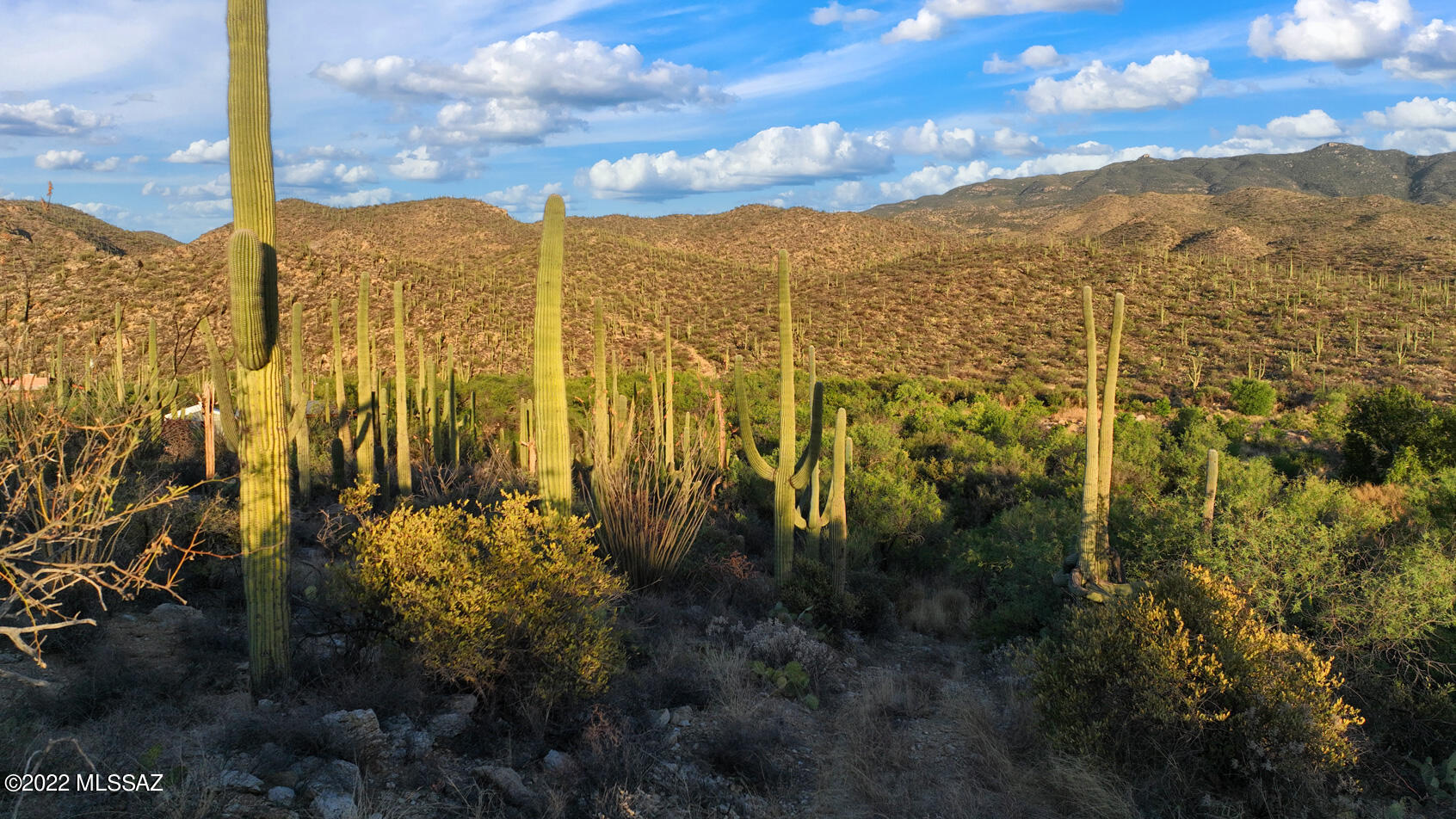 14770 East Redington Road Tucson, AZ 85749 - Photo 12 of 31