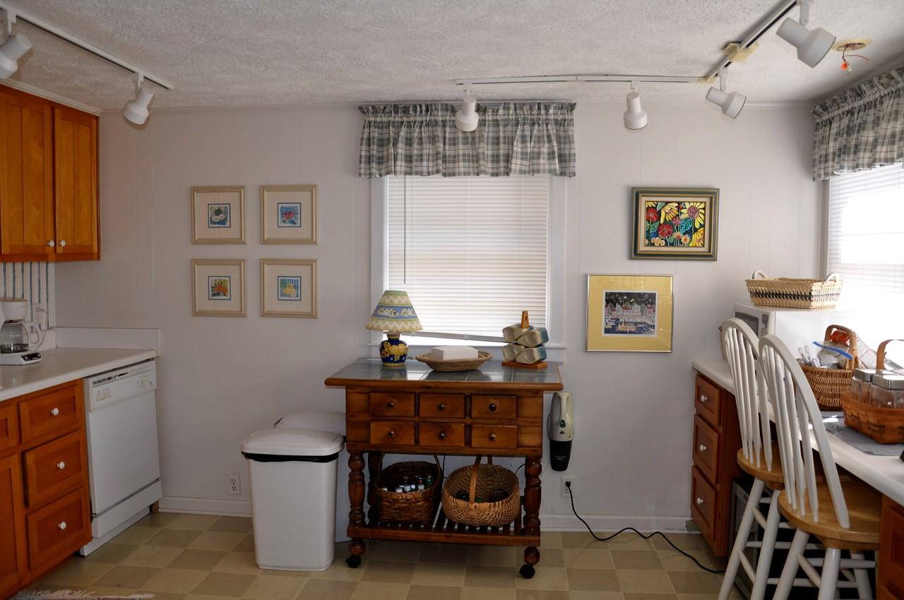 289 Anthony Ford Road Penhook, VA 24137 - Photo 58 of 87 DSC_0479-X2