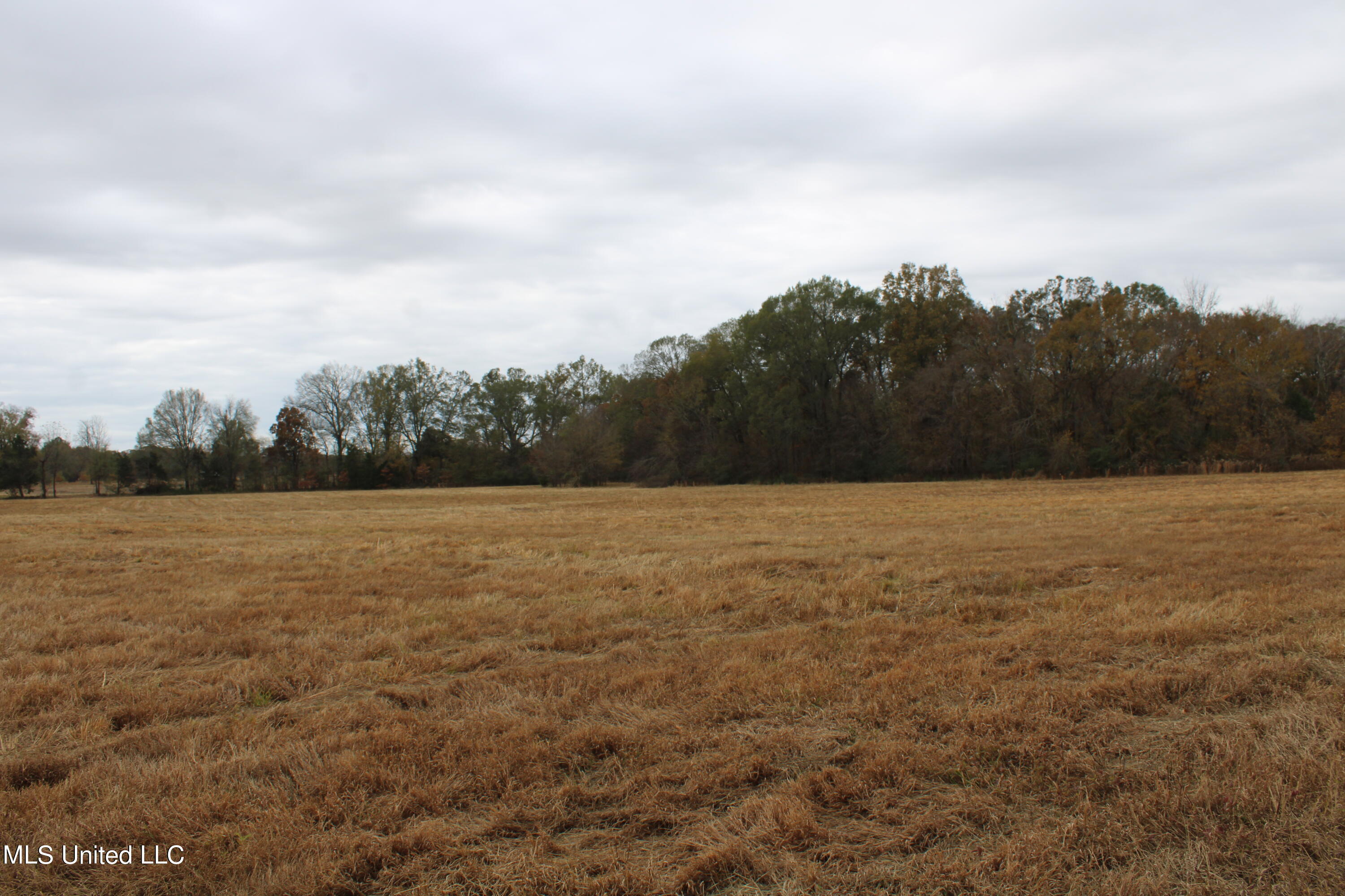 4 Rice Chapel Road Lamar, MS 38642 - Photo 29 of 30 IMG_2729