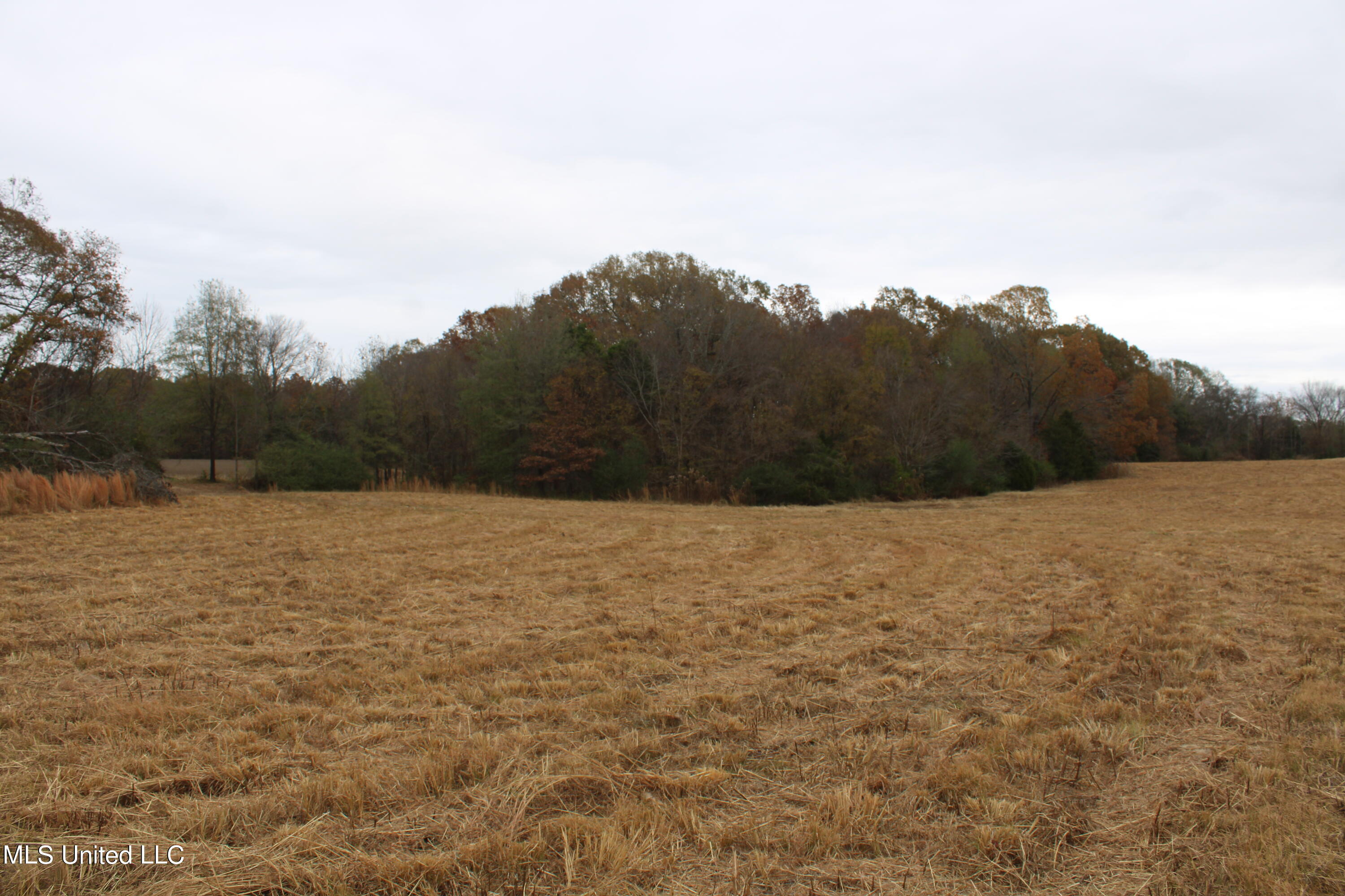 4 Rice Chapel Road Lamar, MS 38642 - Photo 5 of 30 IMG_2705