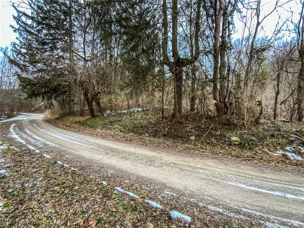 0 Trough Run Road Bellaire, OH 43906 - Photo 11 of 46 View of dirt / gravel road