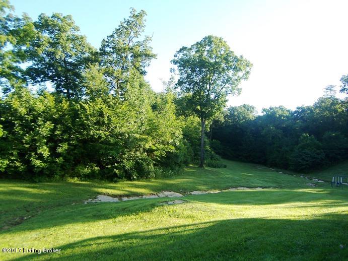 4038 Nat Rogers Road Boston, KY 40107 - Photo 17 of 27 Yard