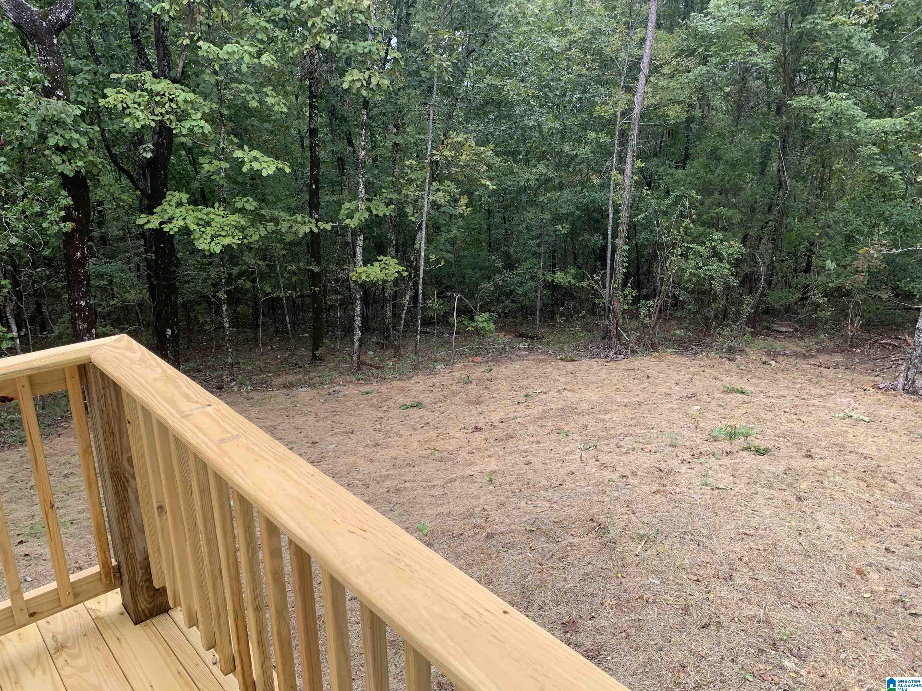 60 Chestnut Circle Warrior, AL 35180 - Photo 11 of 17