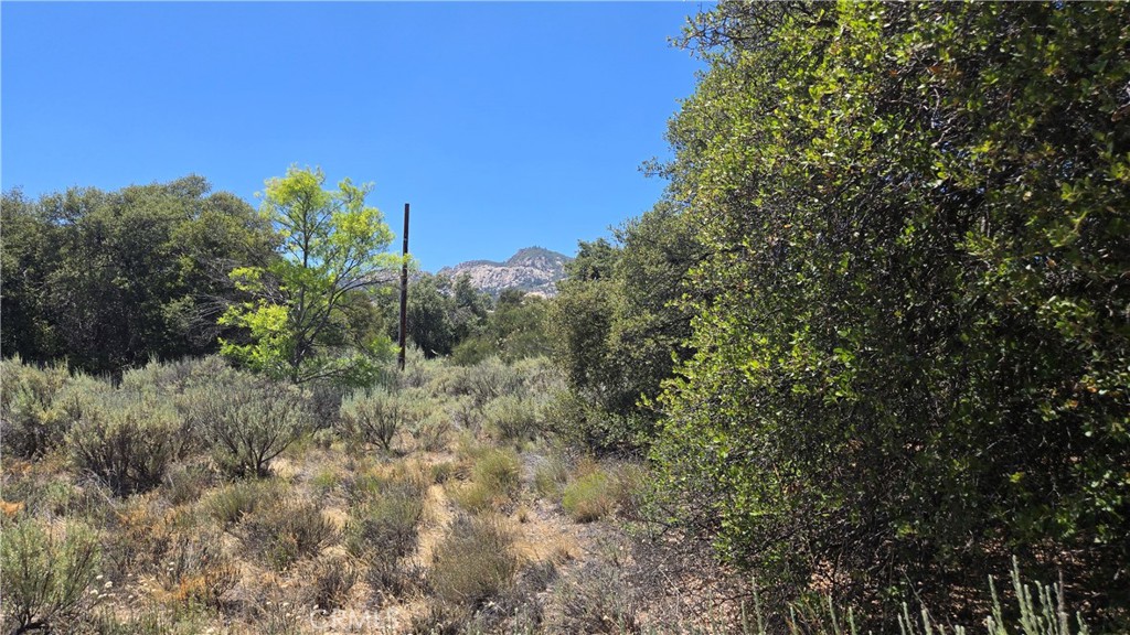 38375 Indian Road Anza, CA 92539 - Photo 5 of 8