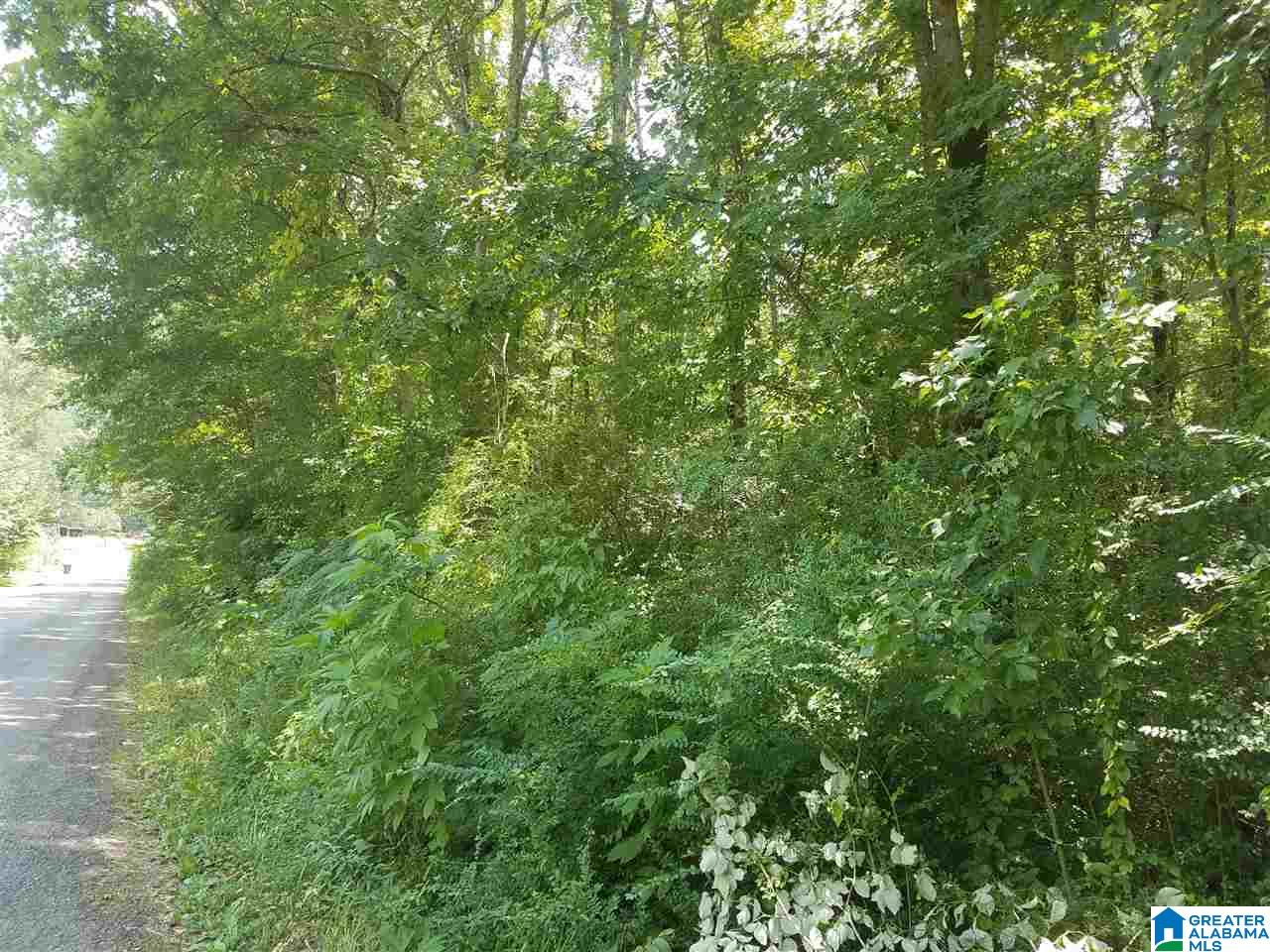 Pine Mountain Road, Unit 2 7 Oneonta, AL 35121 - Photo 2 of 3