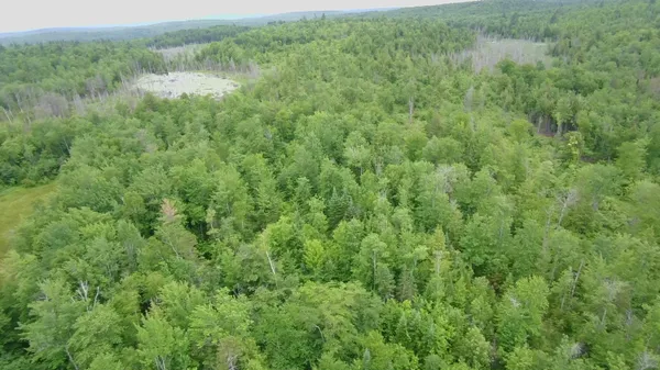 $190,000 | Tbd Trafton Road, Parkman, ME 04443