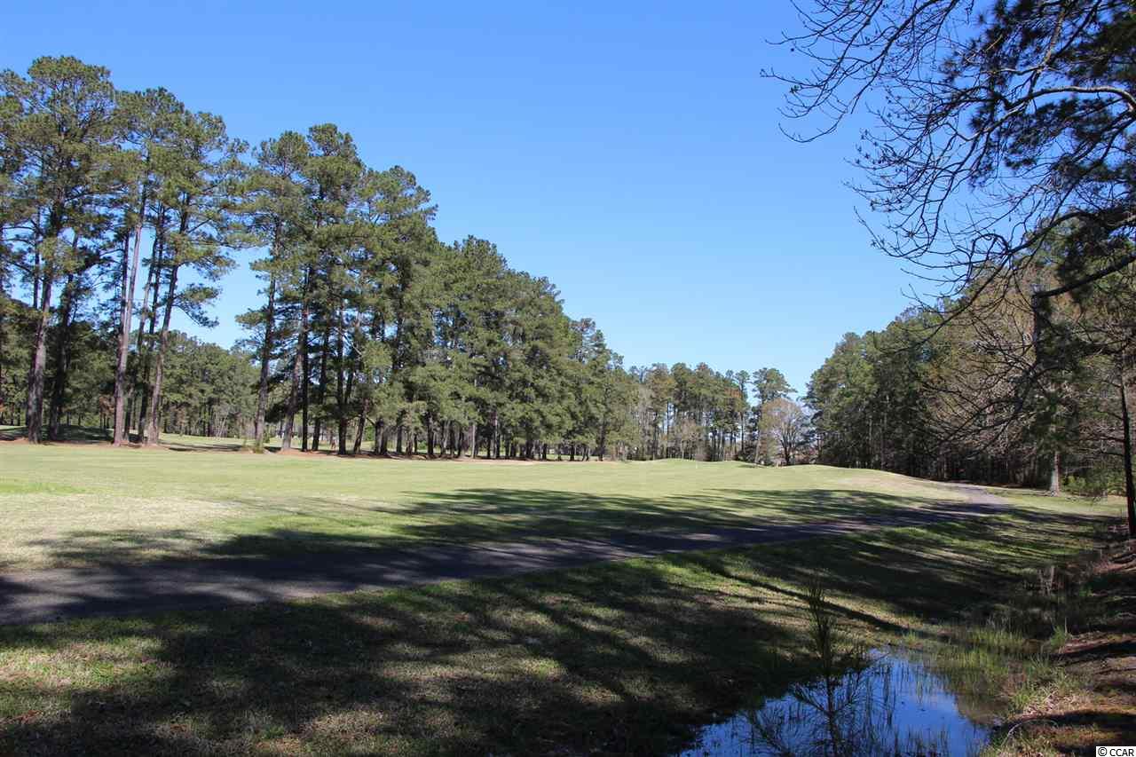 2513 Graham Road Conway, SC 29526 - Photo 16 of 18 Gallery Image 16